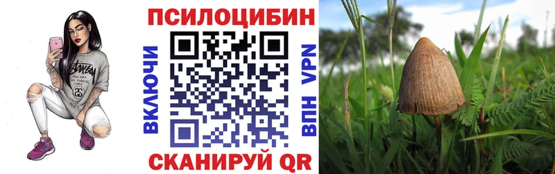 продажа наркотиков  Зея  мега маркетплейс  Псилоцибиновые грибы ЛСД 